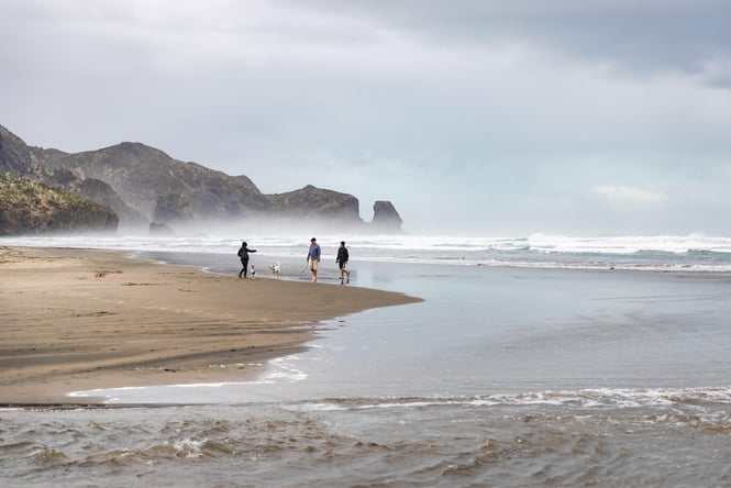 The wild west coast of Bethells Beach.