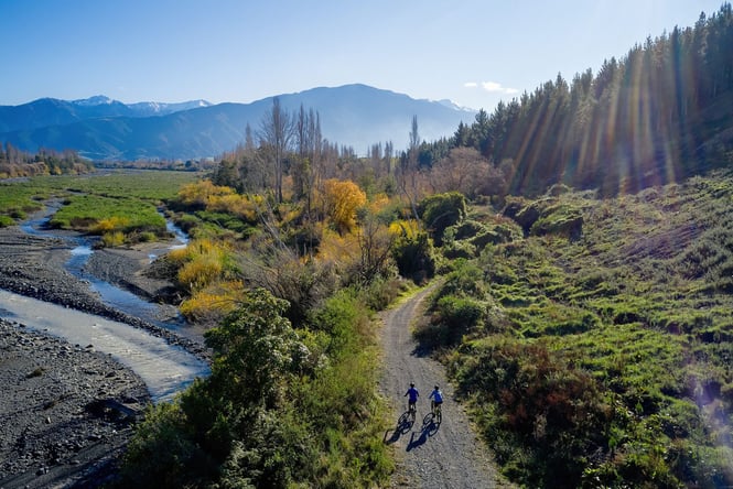 Two people on bikes on a bike track amongst bush on a sunny day.