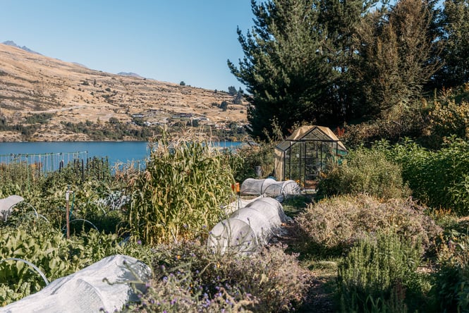 A glass house on a grassy hill next to a lake.