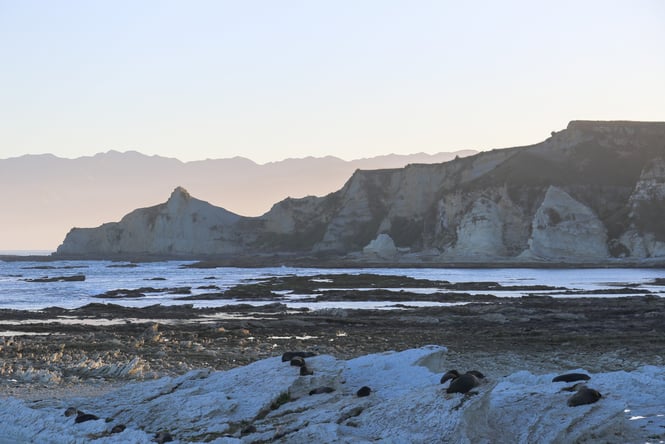 View of Kaikōura Peninsula Walkway.