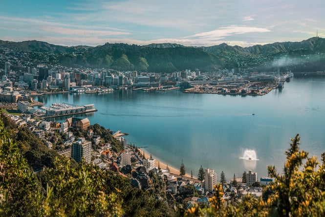View of Wellington Harbour from Mt Victoria Lookout.