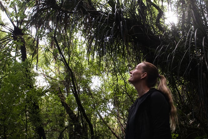 Woman looks up at the tall trees in the forest of Lake Papaitonga Scenic Reserve.