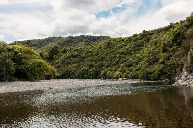 A lake surrounded by native bush.