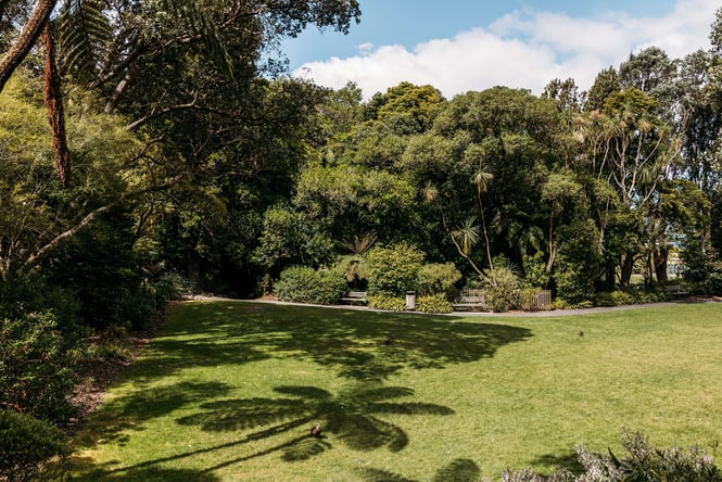 A grassy area at Percy Scenic Reserve.