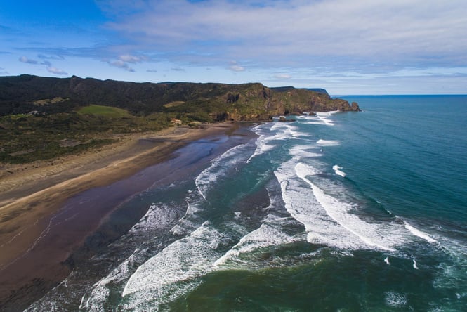 Te Henga Bethells Beach on a sunny day.