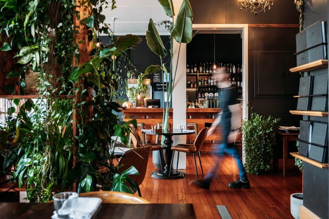 The dining room at Cucina in Ōamaru.