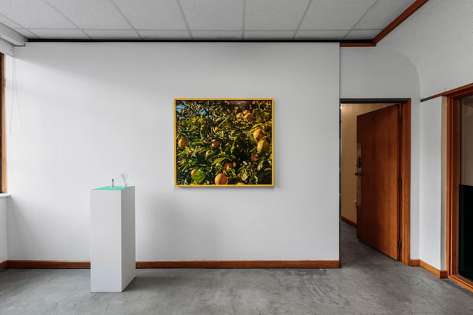 Artwork on display at Jhana Millers Gallery.