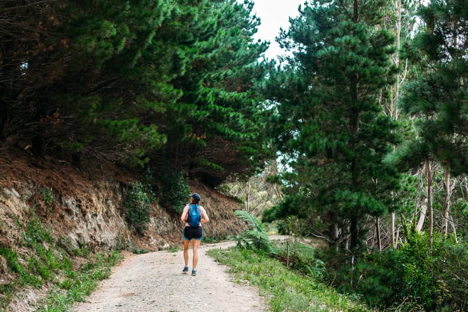 Person walking on the track looking at the forest behind at Rangituhi Colonial Knob.