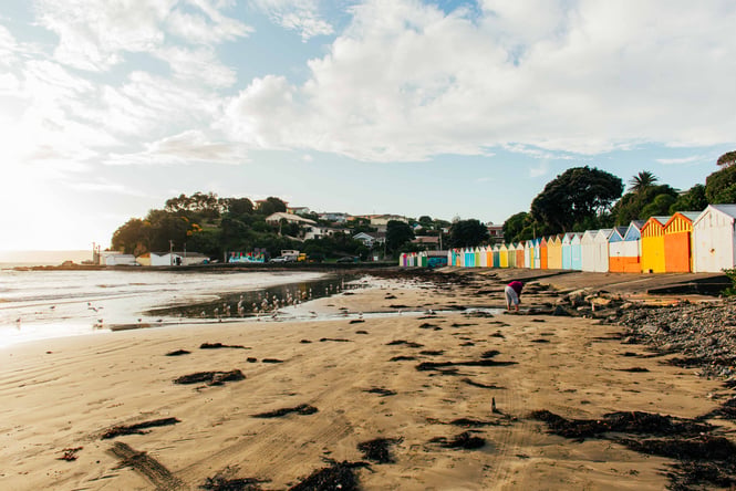 Shoreline at Titahi Bay with colourful sheds.