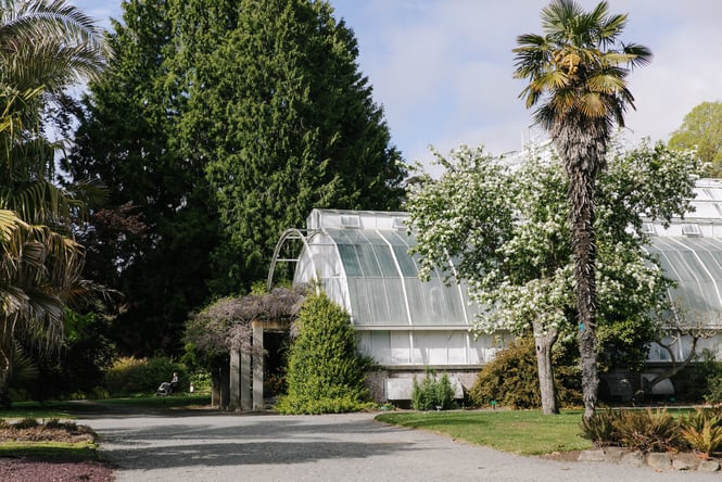 Glasshouse at the botanic gardens in Christchurch