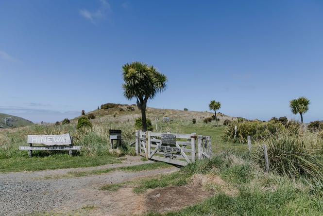 Hinewai Reserve sign with a wooden gate marking the entranceway surrounded by the hills of Banks Peninsula