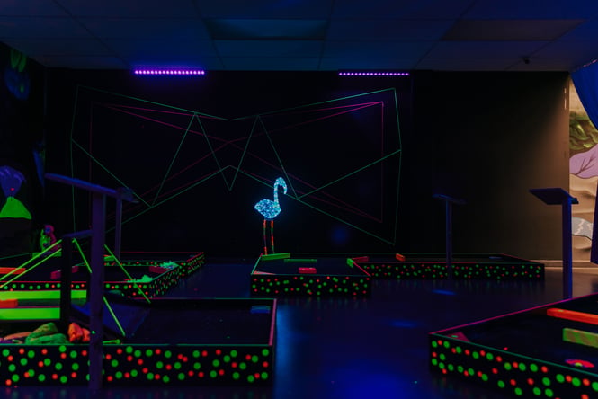 Neon lights at Alice in Putterland in New Birghton.