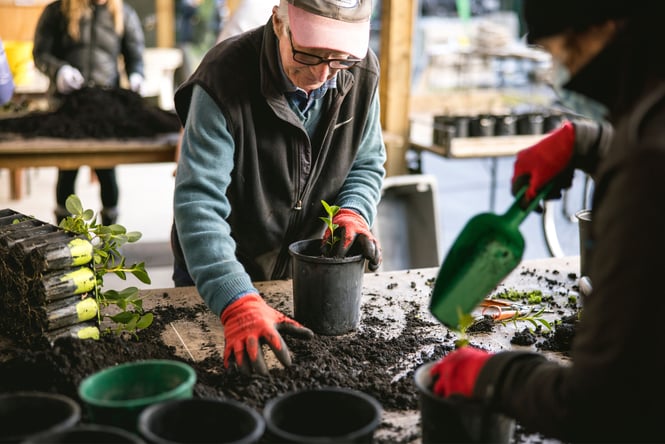 People potting plants.
