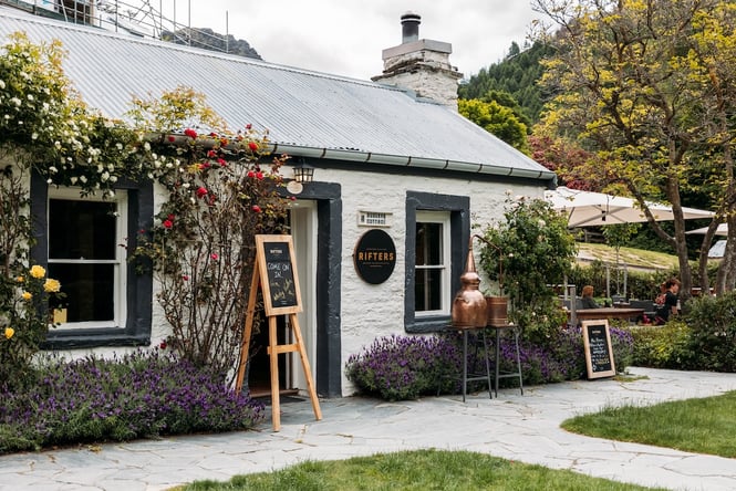 Colourful rose bushes and lavender bushes growing along the front of an historic, white cottage.