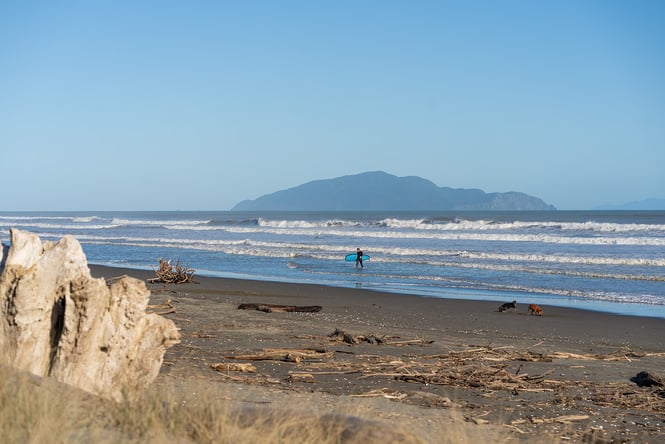 A beach on a sunny day.