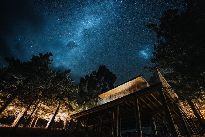 Looking up at an expansive night sky filled with stars.