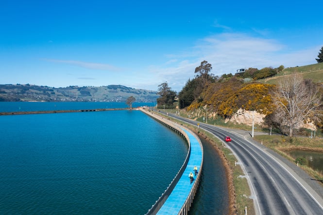 Cyclists biking on a trail in Port Chalmers.