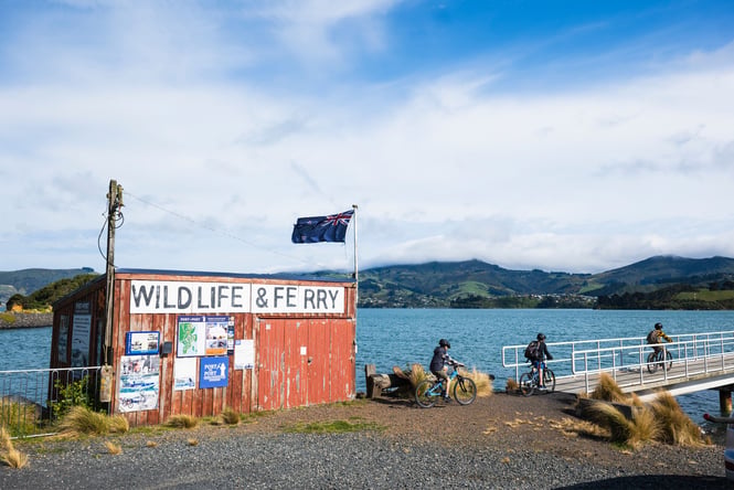 A red shed next to the water in Port Chalmers.