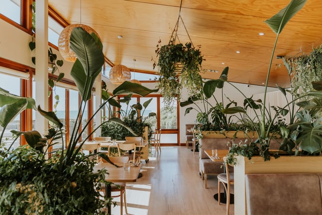 The sunny interior of Del Mar in Oamaru.