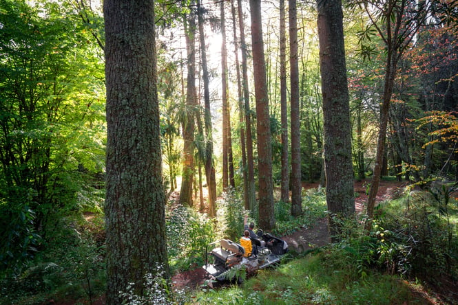 Eastwoodhill Arboretum in Gisborne.
