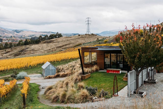 Exterior of Dicey Wines overlooking vineyards in autumn