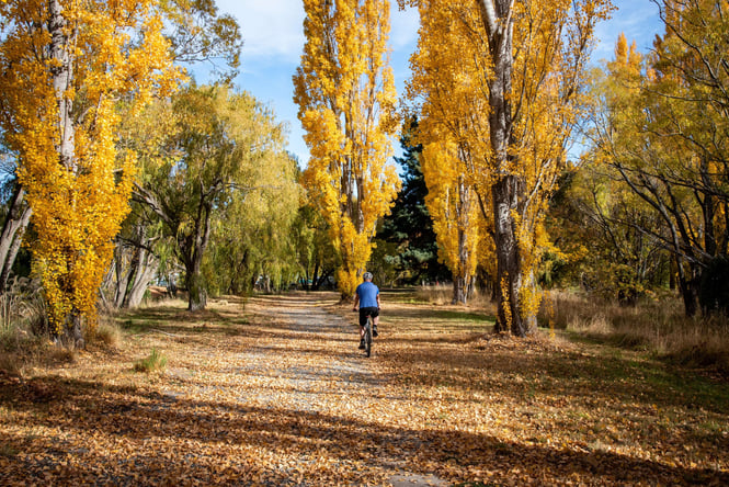The Waitaki Valley on a sunny Autumnal day.
