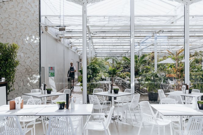 The interior of Ilex cafe at Christchurch Art Gallery.