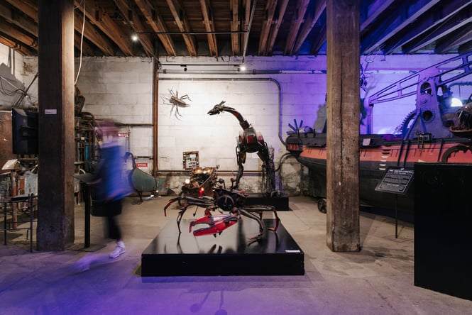 An exhibition.
