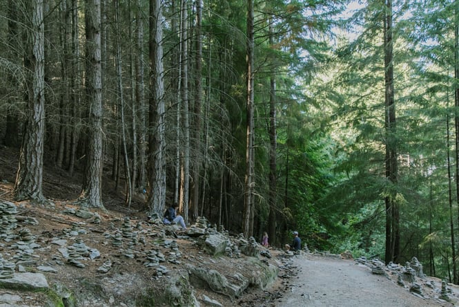 A trail on Queenstown Hill.