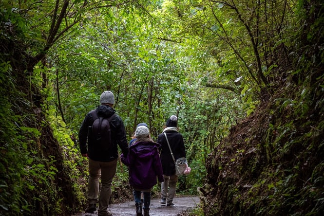 A family walking amongst the bush.
