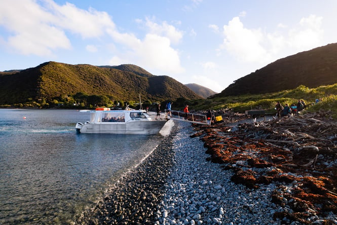 Boat pulling up to shore at Kapiti Island.