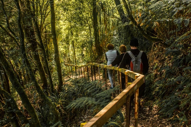 Three people walking along Sledge Track in Palmerston North.