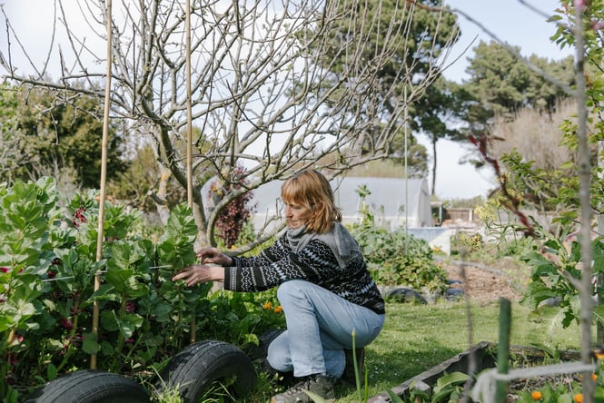 Woman tending to garden bed at New Brighton Community Gardens
