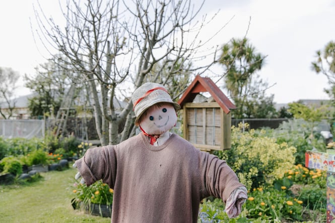 Smiling scarecrow at New Brighton Community Gardens
