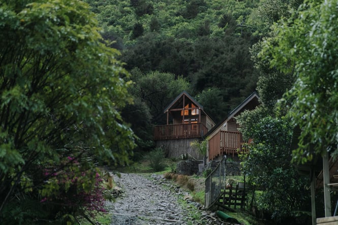 Remote cabins surrounded by native bush