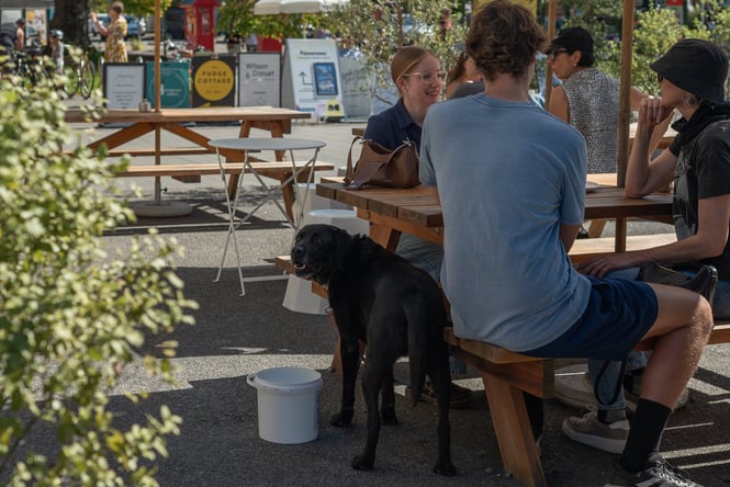 Dog at outdoor table at Frances Nation in Christchurch