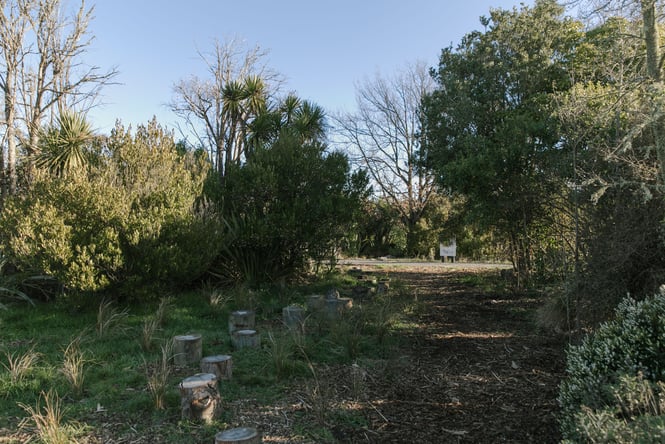 A bushy area inside Sensory Nature Play Park.