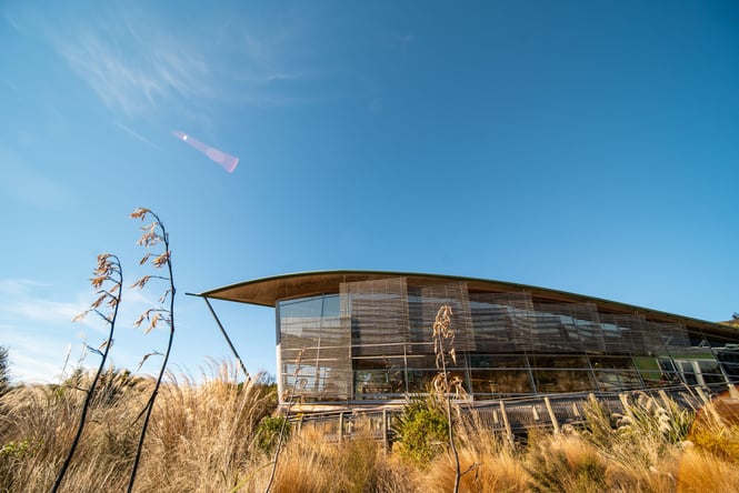 A view of a beautiful building on a sunny day.