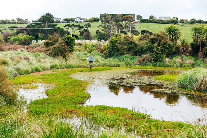 Pāuatahanui Wildlife Reserve on a cloudy day.