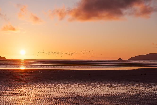 Paekākāriki beach at sunset.