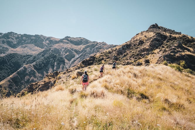 Hikers walking on a hill on a sunny day.