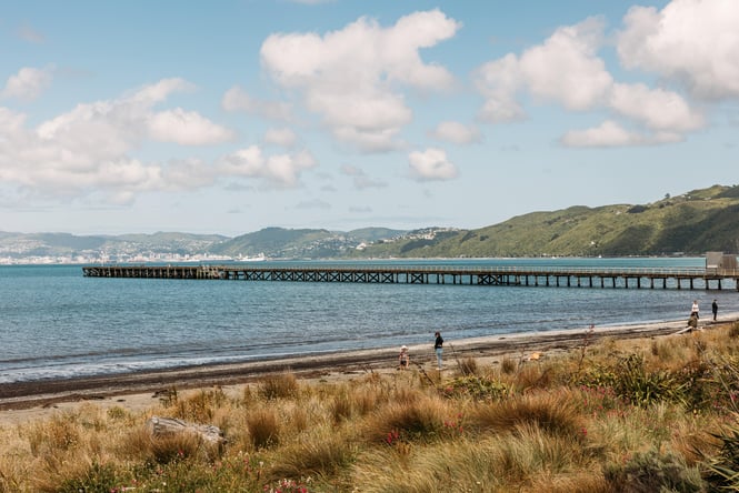 The beach at Petone.