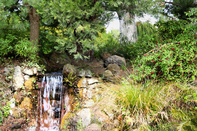 A waterfall.