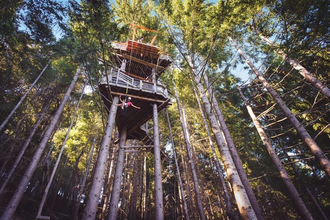 A view looking up of EcoZip.