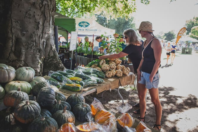 Customers browsing the produce.