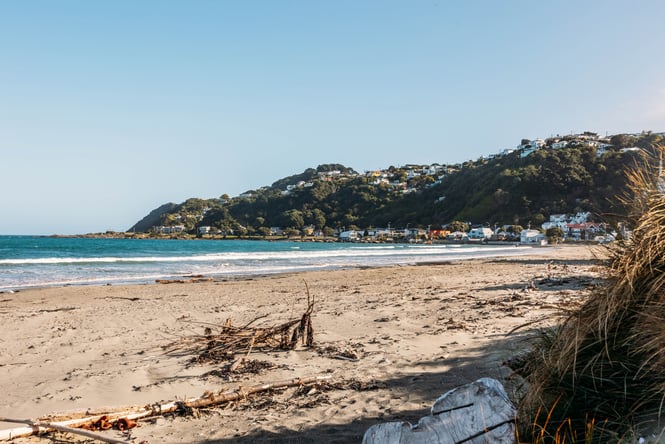 A beach on a sunny day.