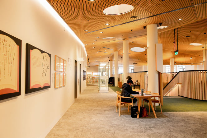A person sitting inside the Rolleston library.