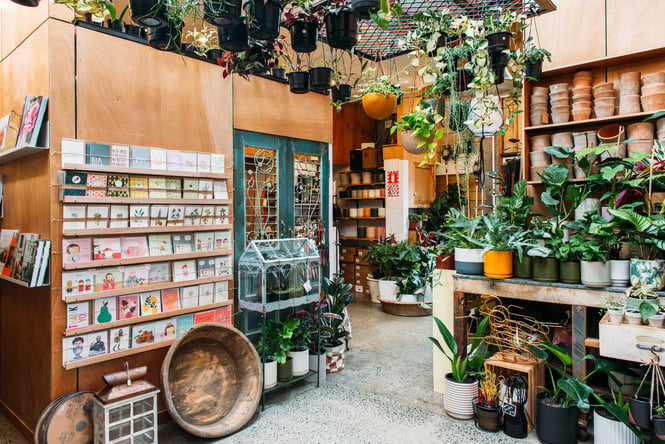 Potted plants and greeting cards on display inside The Flower Crate.