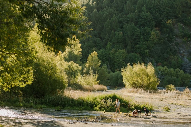 The Arrowtown river on a sunny day.
