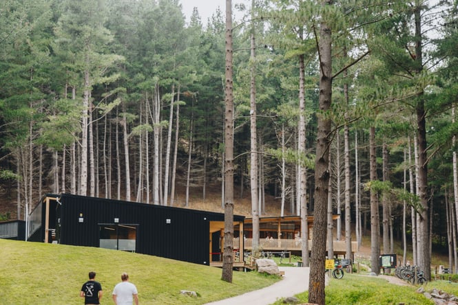 Tall trees standing around the building at Christchurch Adventure Park.